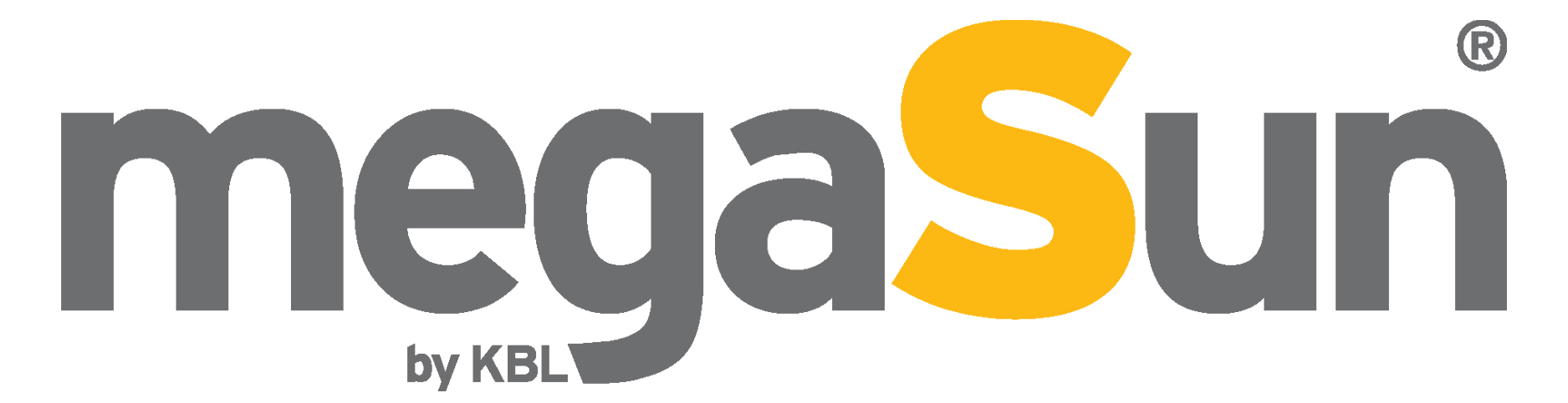 megaSun-Logo-Vector.svg- copy